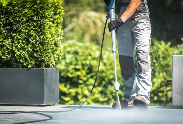 Best Roof Cleaning and Mildew Removal in St Michaels, MD